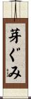 芽ぐみ Scroll