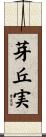 芽丘実 Scroll