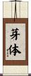 芽体 Scroll