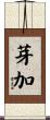 芽加 Scroll