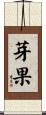芽果 Scroll
