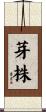芽株 Scroll