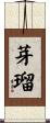 芽瑠 Scroll