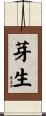 芽生 Scroll