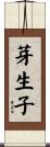 芽生子 Scroll