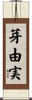芽由実 Scroll