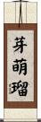 芽萌瑠 Scroll