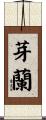 芽蘭 Scroll