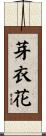 芽衣花 Scroll