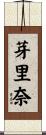 芽里奈 Scroll