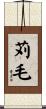 苅毛 Scroll