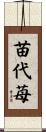 苗代苺 Scroll