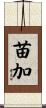 苗加 Scroll