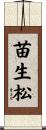 苗生松 Scroll