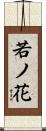 若ノ花 Scroll