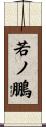 若ノ鵬 Scroll