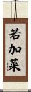 若加菜 Scroll