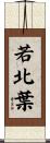 若北葉 Scroll
