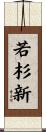 若杉新 Scroll
