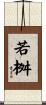 若桝 Scroll