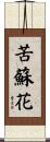 苦蘇花 Scroll