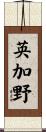 英加野 Scroll