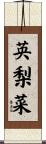 英梨菜 Scroll