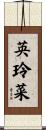 英玲菜 Scroll