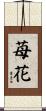 苺花 Scroll