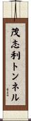 茂志利トンネル Scroll