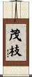 茂枝 Scroll