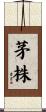 茅株 Scroll