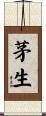 茅生 Scroll