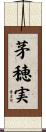 茅穂実 Scroll