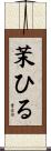 茉ひる Scroll