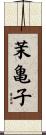 茉亀子 Scroll