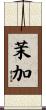 茉加 Scroll