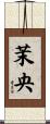 茉央 Scroll