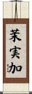 茉実加 Scroll