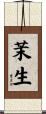 茉生 Scroll