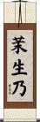 茉生乃 Scroll