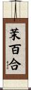 茉百合 Scroll