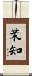 茉知 Scroll