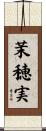 茉穂実 Scroll