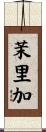 茉里加 Scroll