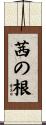 茜の根 Scroll