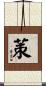 茦 Scroll