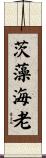 茨藻海老 Scroll