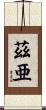 茲亜 Scroll
