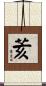 荄 Scroll